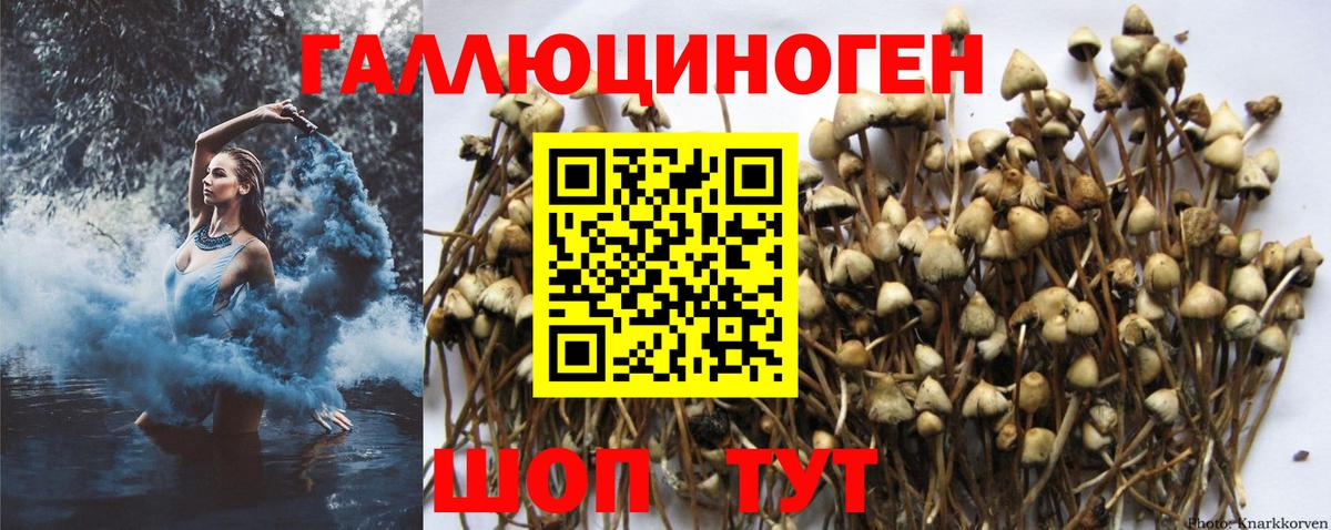 COCAIN  АМФЕТАМИН   Мефедрон   МДМА  NBOMe  Вход с VPN  А ПВП СОЛЬ   ГАШИШ  Губкинский  МЕТАМФЕТАМИН 