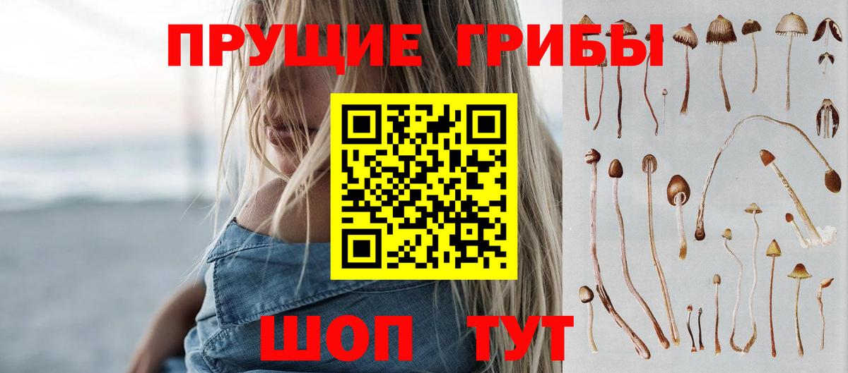 Псилоцибиновые грибы прущие грибы  Вход с VPN  Галлюциногенные грибы прущие грибы  Губкинский 