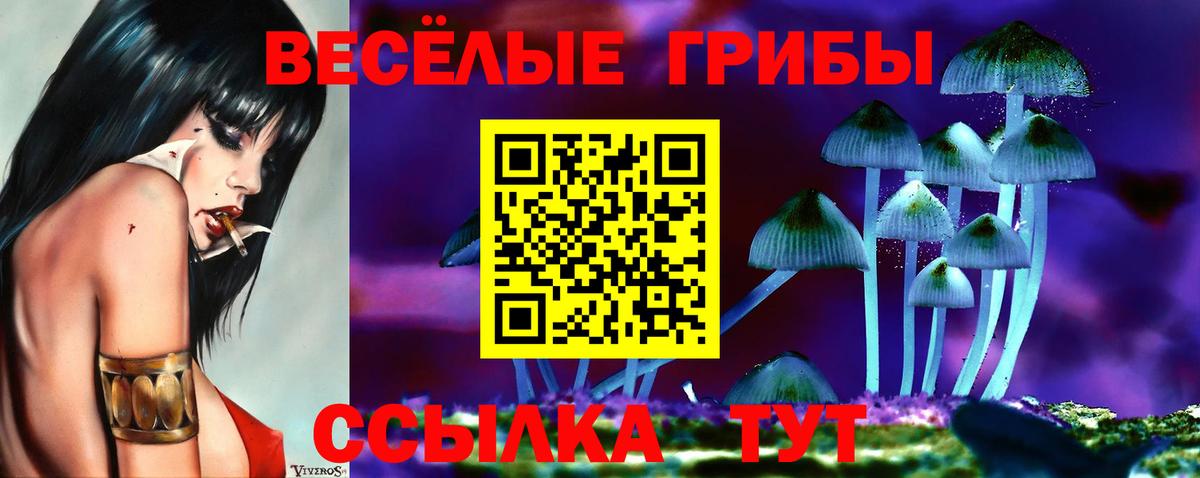 Галлюциногенные грибы MAGIC MUSHROOMS Губкинский